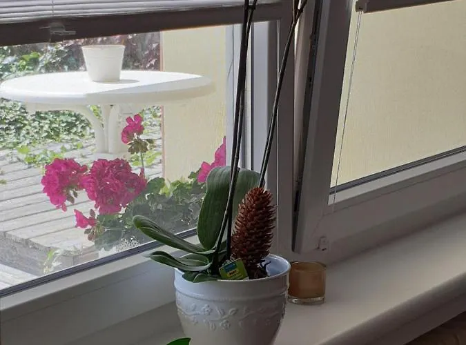 Fiona * كاندرن